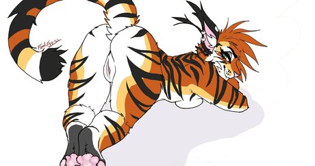 feral tigress star du porno exclusive collection