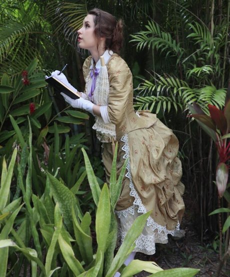 fans de cire uniquement assez hd image