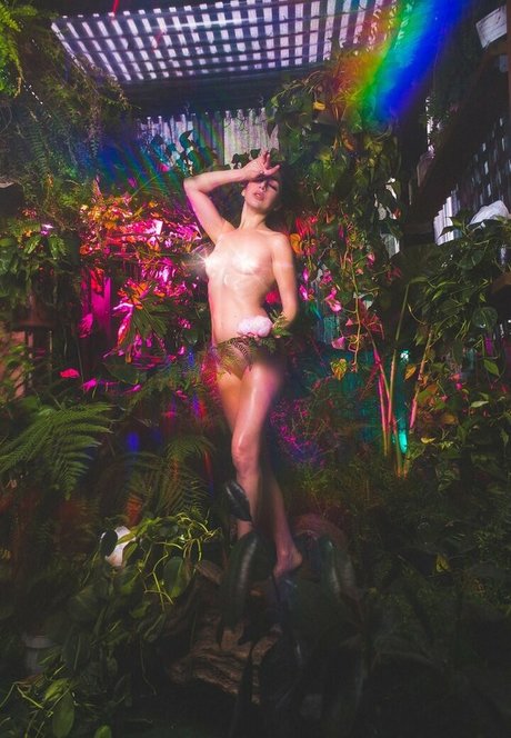 Monica May modèle gratuit collection