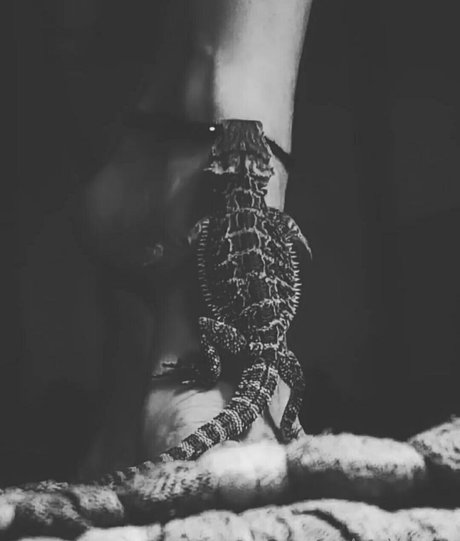 bikini ébène onlyfans art meilleur photo