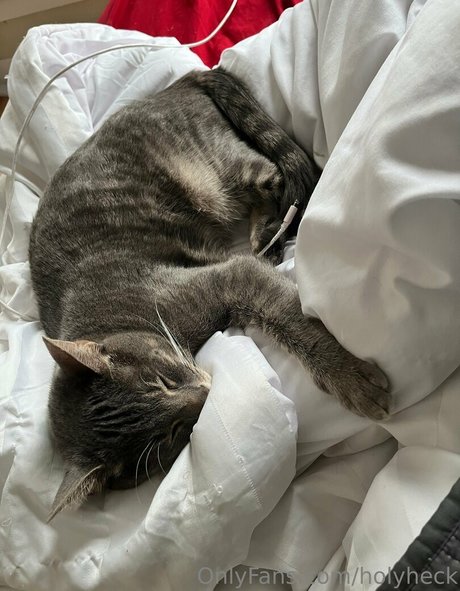 bottes onlyfans nus pornographiques des photos