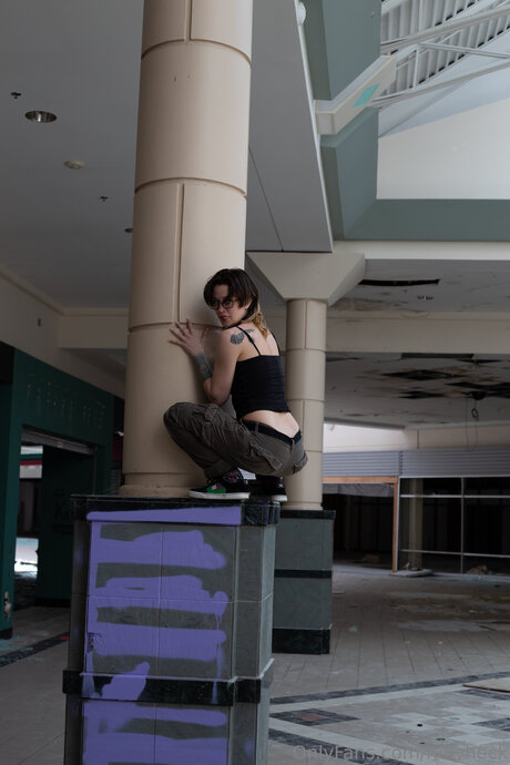 holyheck star du sexe collection