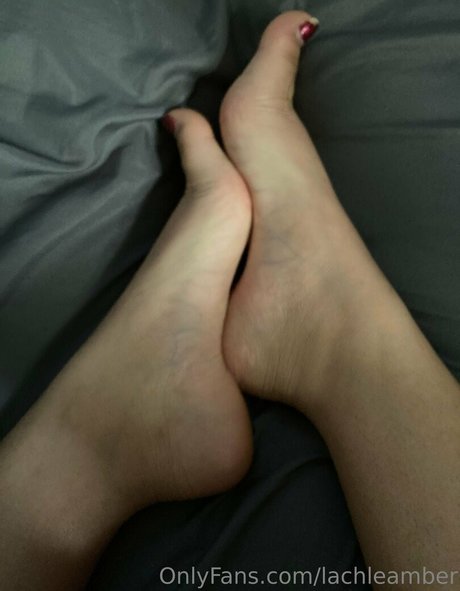 lachleamber modèle hd collection