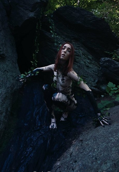 sunset fawn jolie star du porno collection