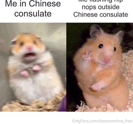 melissa cho chang free jolie star du porno galerie