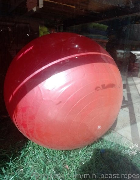 femmes musclées onlyfans haut por img