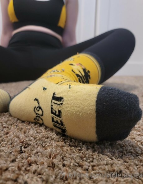 violetespea étoile hd collection