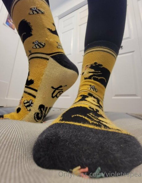 violetespea étoile de l'art des photos