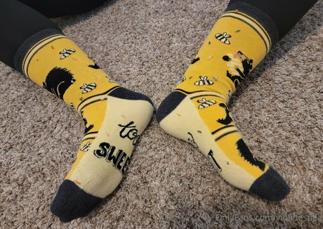 violetespea Fotoaufnahmen