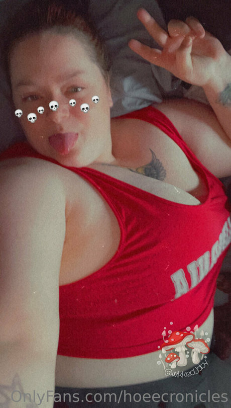 hoeecronicles modèle sympa galeries