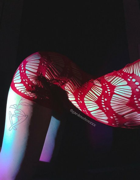 Gardenofevexxx modèle pornographique image