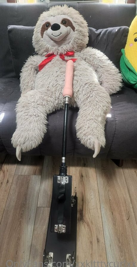 xxkitttycurlxx étoile adulte archive