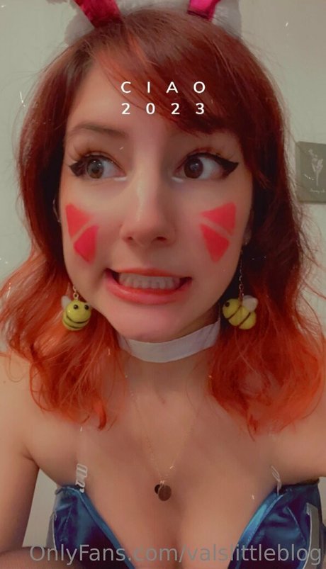 valvestia modèle joli img