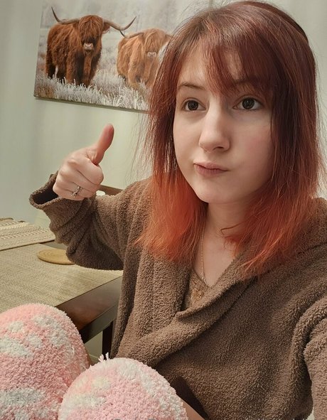 valvestia Fotoaufnahmen