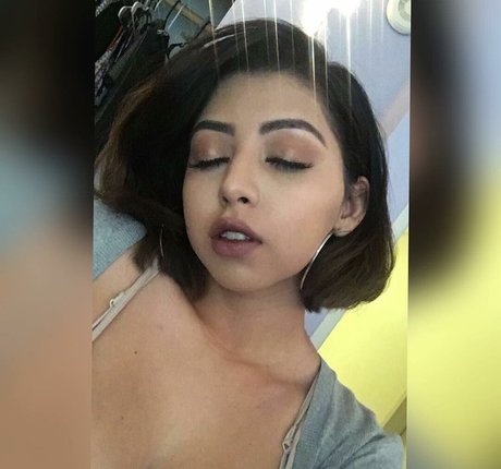 Sadd Pup haut de star du porno img