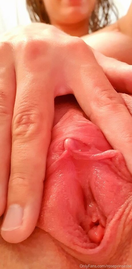 roseprinsesse haut modèle galerie