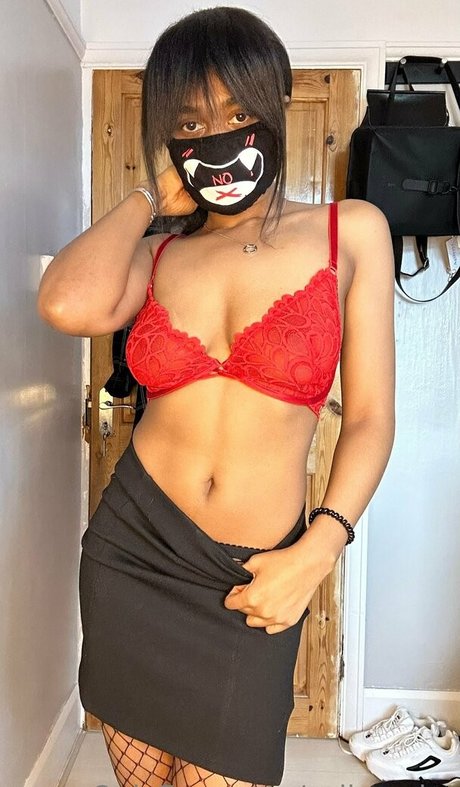 sailorsolar étoile de haute qualité images