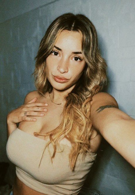 belonly modèle gratuit archive