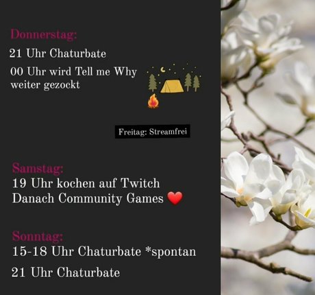 lisamaus étoile sympa des photos