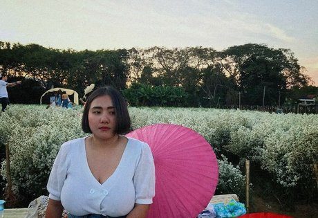 Phiromya Pangyouk étoile de haute qualité images