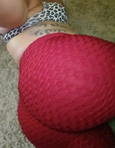 arobbes star du porno érotique archive