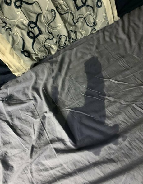 m ashley55 actrice libre img