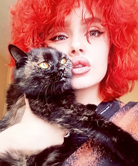 Taliyamilano étoile magnifique galerie