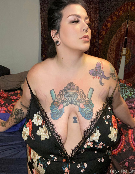 felyxthecat star du porno sexy archive