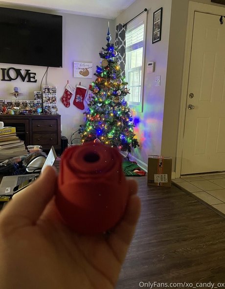 xo candy ox haut modèle image