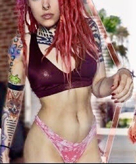 Torierobot modèle sympa img