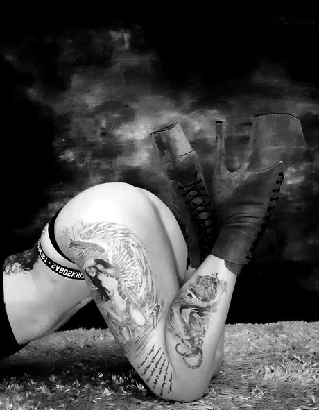 larraphoenix étoile de l'art galeries