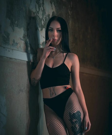 Jensteviexo actrice de sexe images