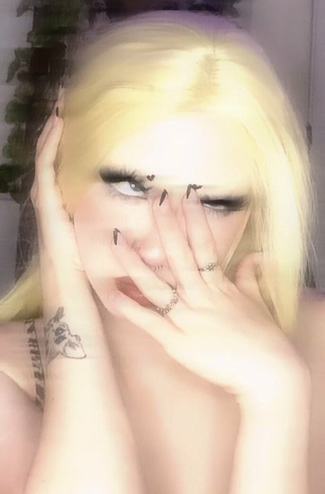 pipssqueakss étoile parfaite galeries