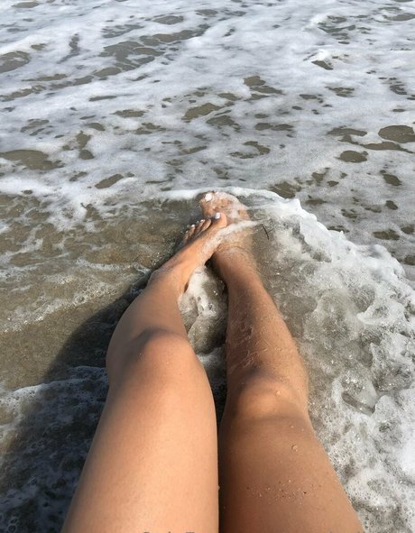 persia jj free étoile chaude collection