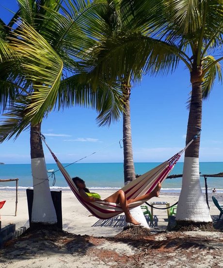 Karlamelito étoile adulte images