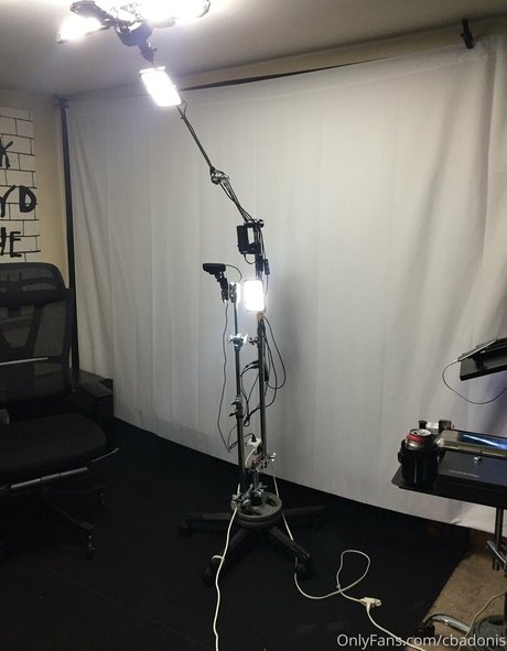 chaton courbé onlyfans art haute définition galeries