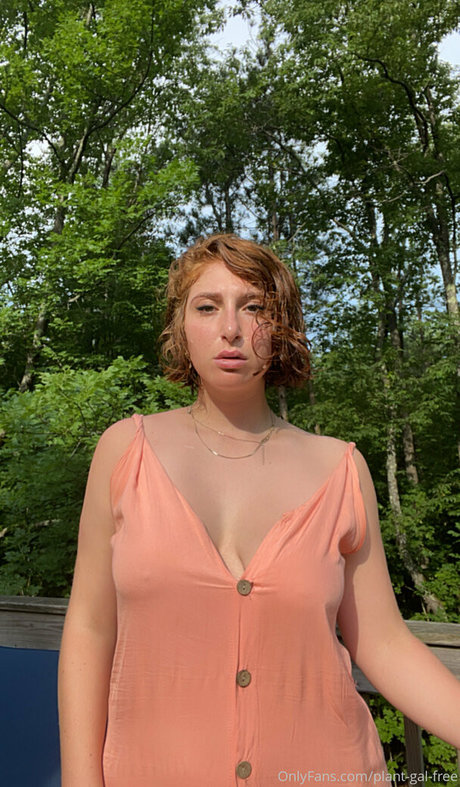 plant gal free modèle joli galerie