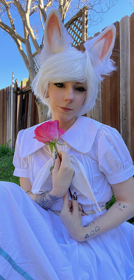 minibunzzz étoile gratuite photos