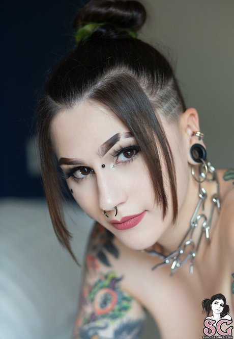 Douji haut étoile galeries