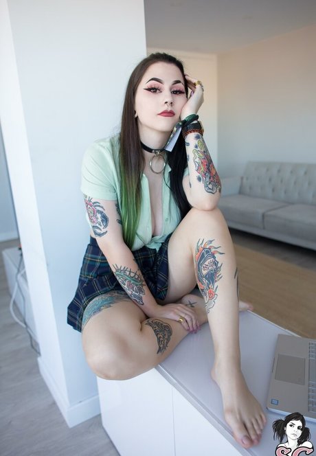 Douji meilleur modèle galerie