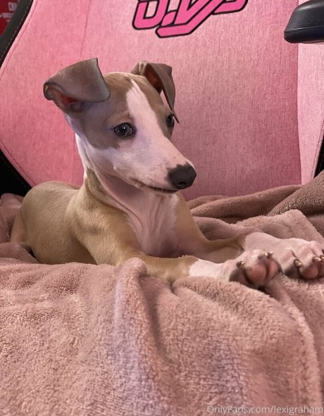 LexiGraham star du porno adulte photos