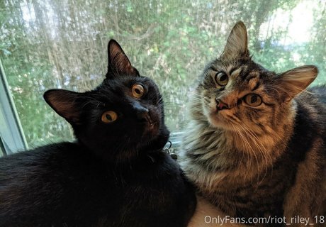 foxygamergurl belle étoile photo