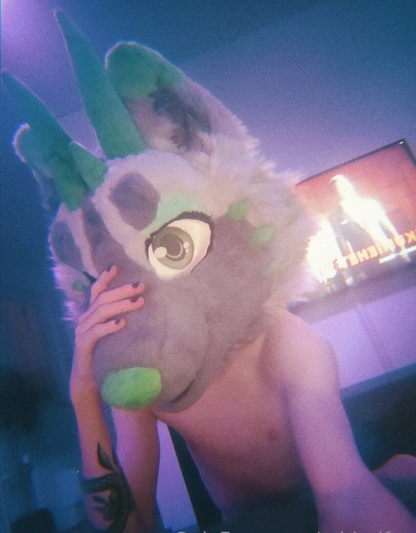 midorifox étoile nue images