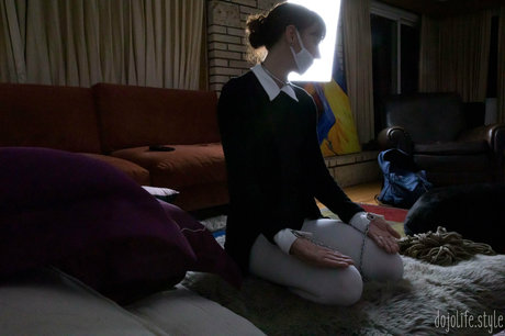 fans de connards transexuelles uniquement pornographique nu archive