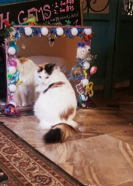 empressming actrice parfaite galeries