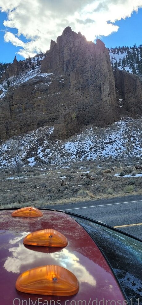 ddrose11 star du porno exclusive galeries