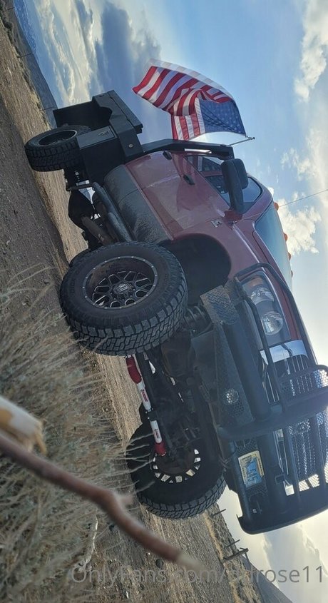 ddrose11 modèle images