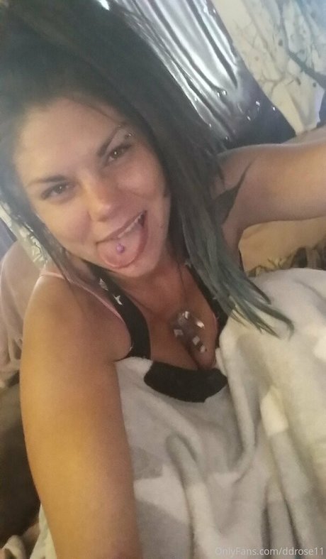 ddrose11 étoile hd archive