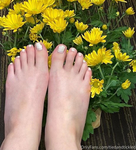 tiedandtickled étoile magnifique image