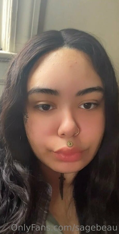 sagebeau étoile xxx galeries